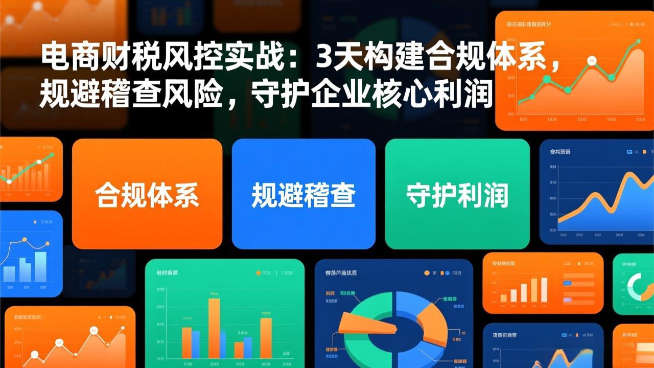 电商财税风控实战：3天构建合规体系，规避稽查风险，守护企业核心利润-缘梦网创